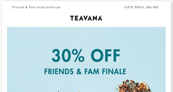 Preview of Discount Promotion email